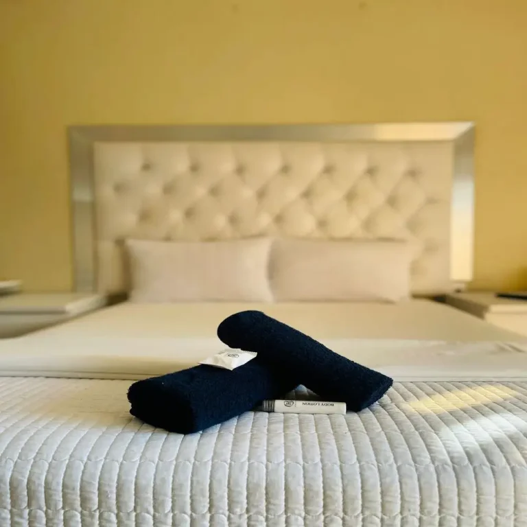 PHOTO-2024-01-03-17-34-36_1000x1000 (1)