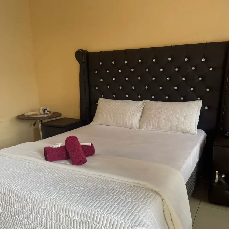 WhatsApp_Image_2023-12-24_at_09.59.59_c361f083_1000x1000-1