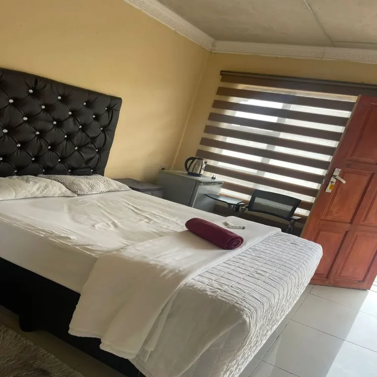 WhatsApp_Image_2023-12-24_at_10.00.00_1afbdaa3_1000x1000